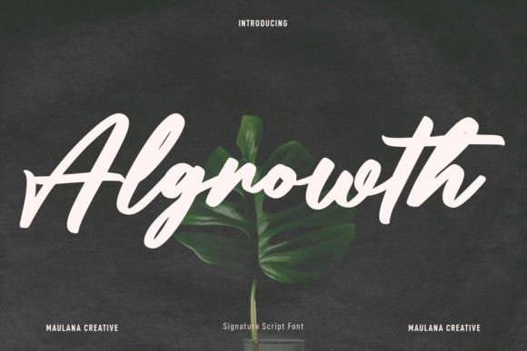 Algrowth Font: A Bold Script for Modern Web Design