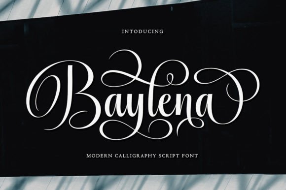 Baylena Font: A Modern Script for Digital Design