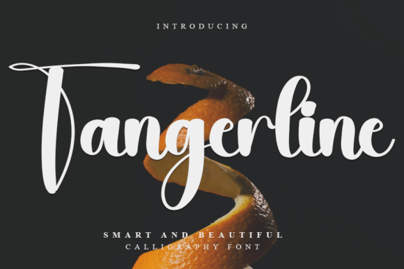 Tangerline: A Handwritten Typeface for Editorial Elegance